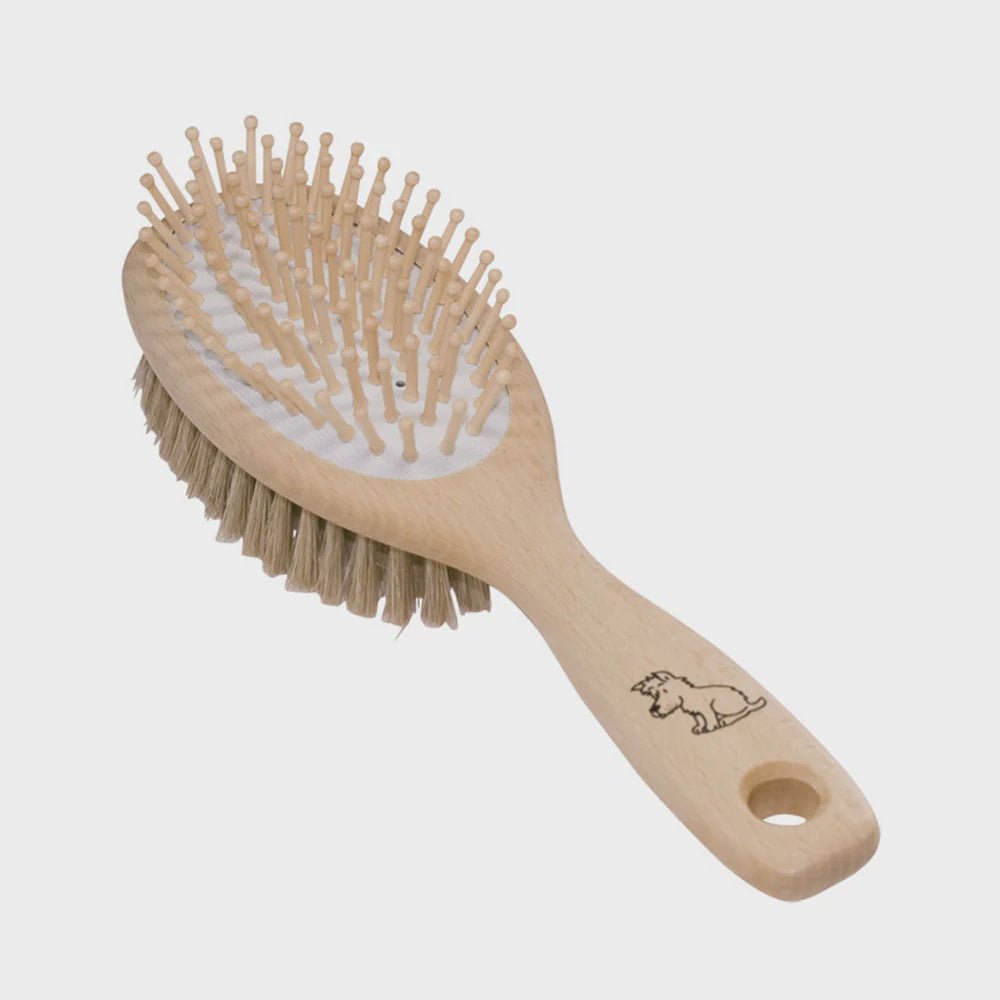 Buy Redecker Dog Brush with Wooden Pins by Redecker - at White Doors & Co